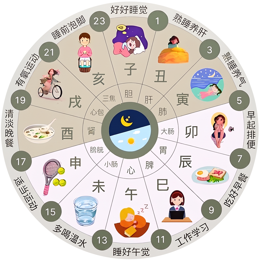 顺时养生十二时辰表盘